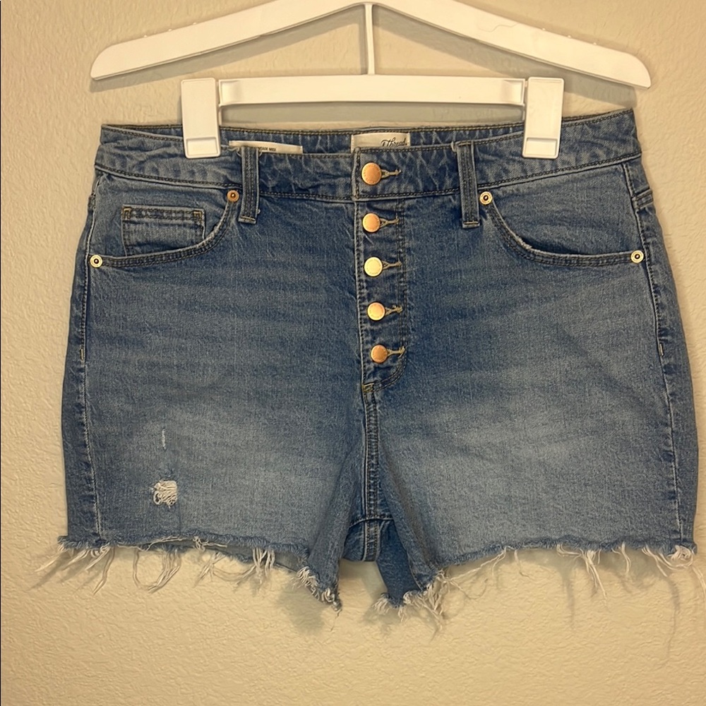 Universal Thread Blue Jean Shorts